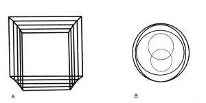 دیستورشن شکلی (form Distortion)