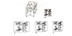 دیستورشن شکلی (form Distortion)